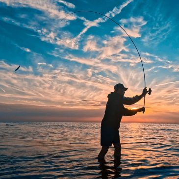 Vapojen ominaisuudet – meritaimen